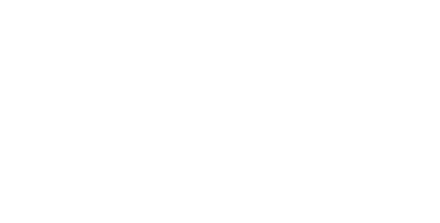 Aardish Infotech